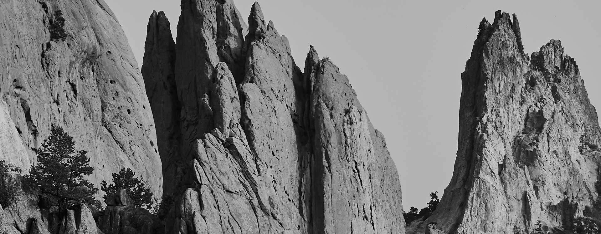 Project Banner
